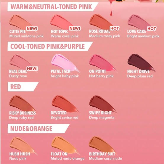 SHEGLAM Color Bloom Liquid Blush- "بلاشر شيجلام السائل كولور بلوم" 9 SHEGLAM Color Bloom Liquid Blush- "بلاشر شيجلام السائل كولور بلوم" - الصورة 5
